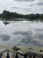 IMG_6631.jpeg