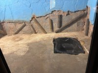 IMG_0012.jpeg