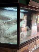IMG_0014.jpeg