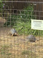 IMG_0017.jpeg