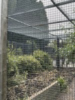 IMG_0015.jpeg