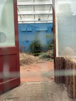 IMG_0016.jpeg