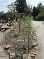 IMG_0011.jpeg