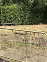 IMG_0010.jpeg