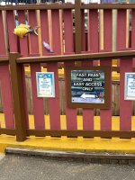 IMG_0020.jpeg