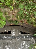 IMG_0194.jpeg