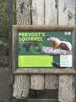 IMG_0178.jpeg