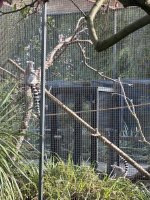 IMG_0179.jpeg