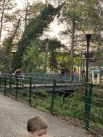 IMG_0202.jpeg