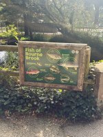 IMG_0176.jpeg IMG_0176.jpeg