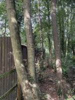 IMG_0175.jpeg