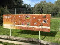 IMG_0173.jpeg IMG_0173.jpeg