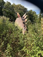 IMG_0171.jpeg IMG_0171.jpeg