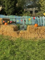 IMG_0286.jpeg