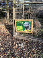 IMG_0276.jpeg