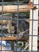 IMG_0277.jpeg