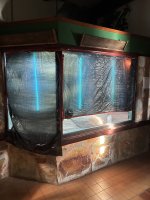 IMG_0278.jpeg