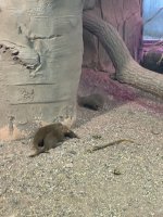 IMG_0280.jpeg